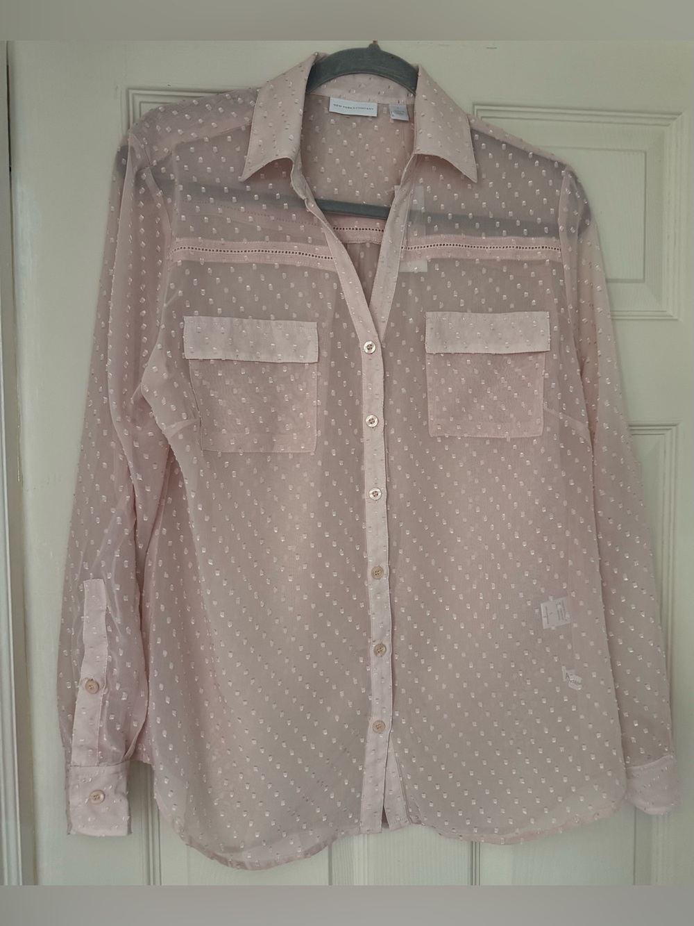 New York & Co. - Baby Pink Swiss Polka-Dot Button Down Blouse / Size Large NWT